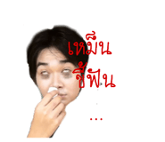 68539367