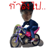 68539369
