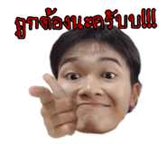 68539373