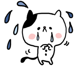 6855822