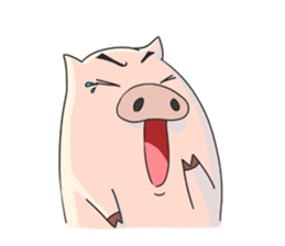 6855994