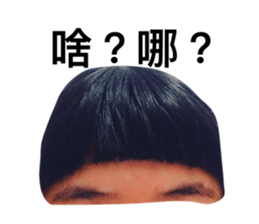 68561515