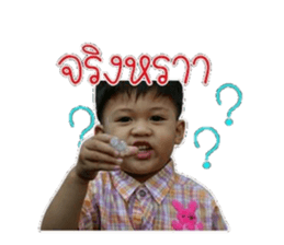 68589078