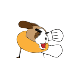 68600457