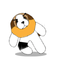 68600458