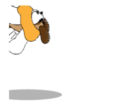 68600460