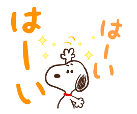 68688481
