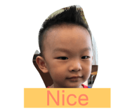 68689354