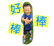 68689363