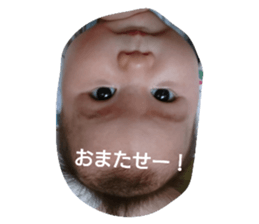 68694219