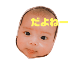 68702050