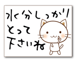 68707410