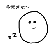 68751186