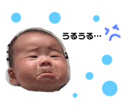 68767642