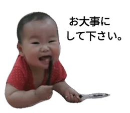68768364