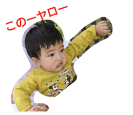 68775545