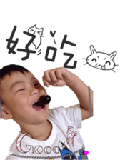 68806908