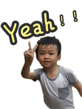 68806909