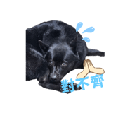 690000792