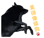 690000793