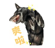 690000795