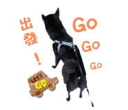 690000796