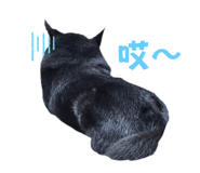 690000797