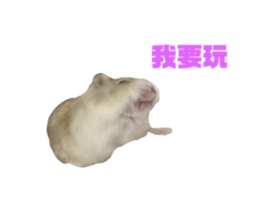 690008343