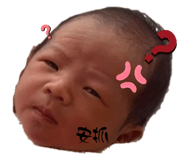 690008615