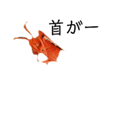 690068170