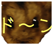 690068176