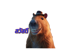 690079074