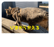 690123153