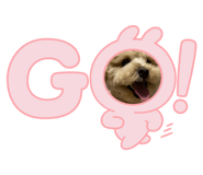 690139044