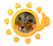 690155815