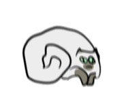 690176008
