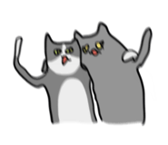 690176019