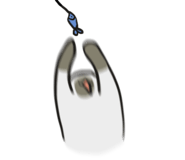 690176023