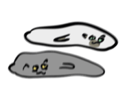 690176039