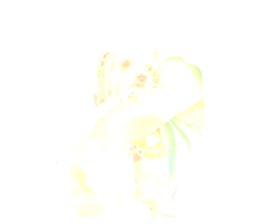 690214132