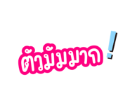 690338493