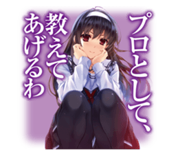 69034274