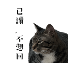 690346620