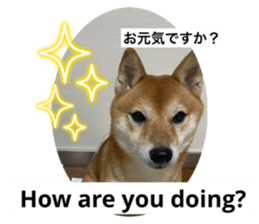 690399565