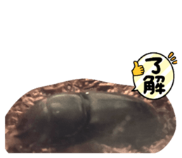 690416618