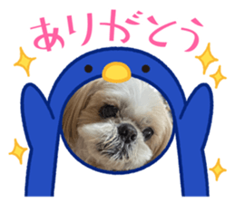 690431499