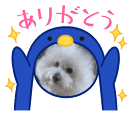 690447391