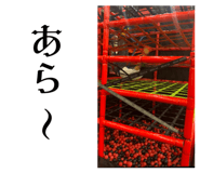 690454163