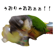 690468395