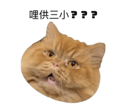 690519683